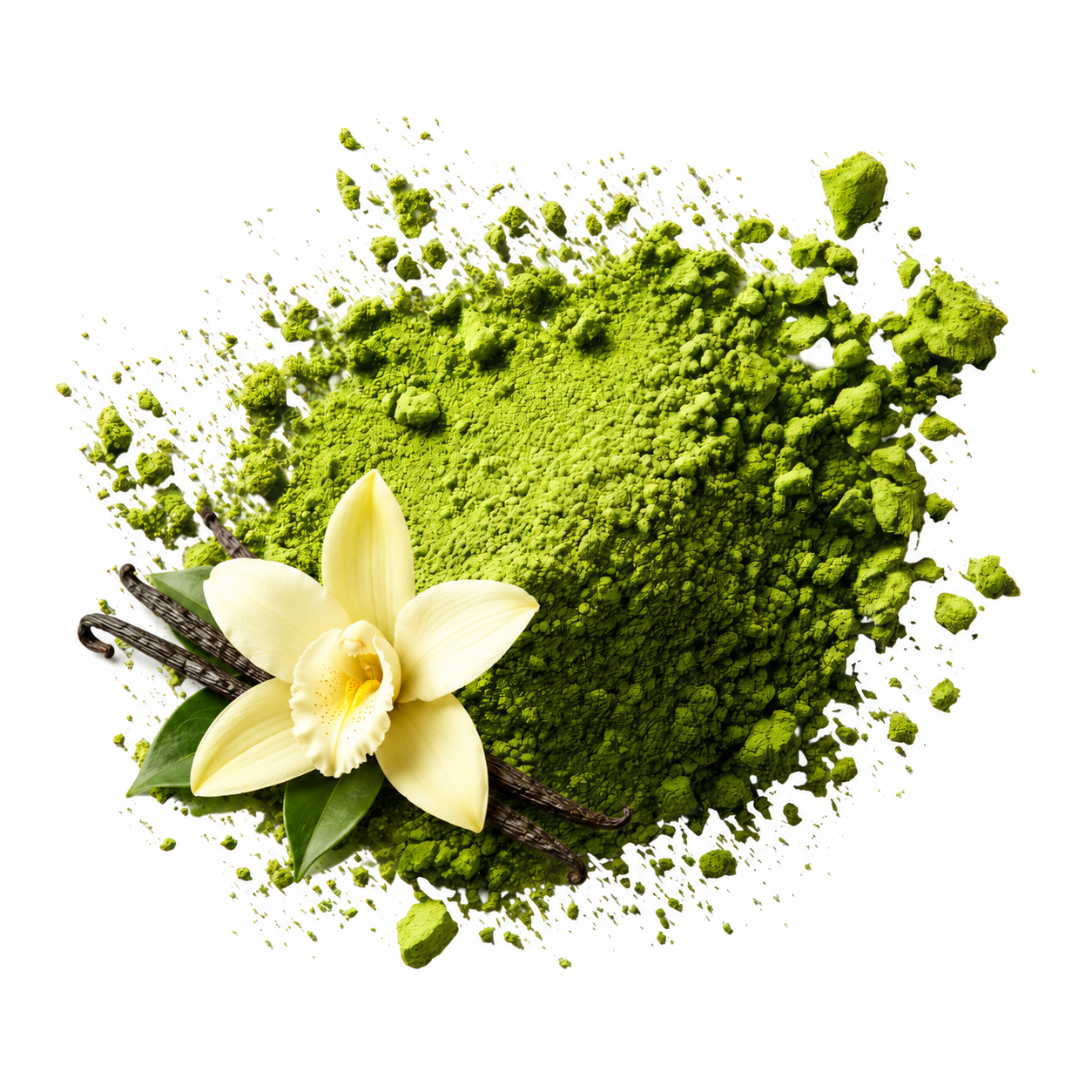 MATCHA VAINILLA
