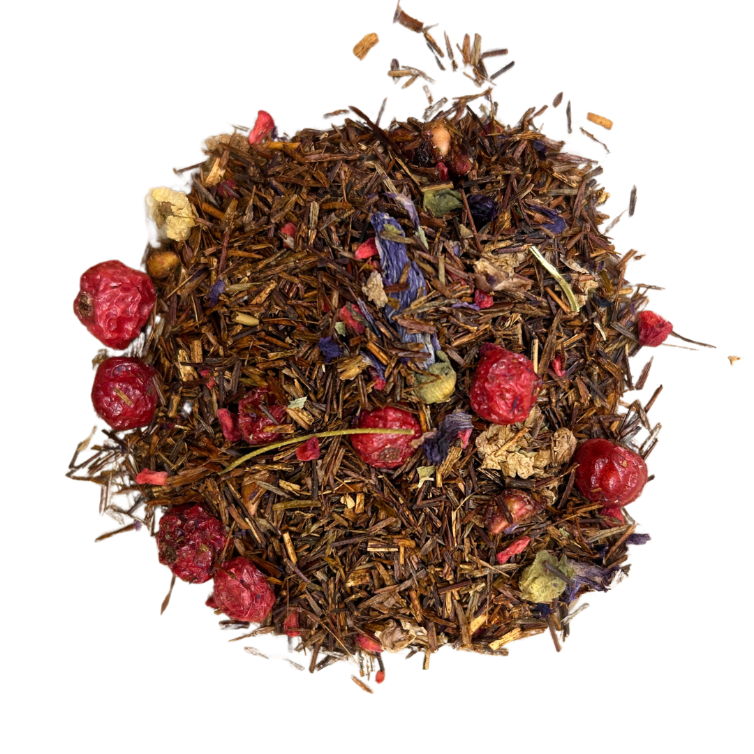 ROOIBOS VENDIMIA